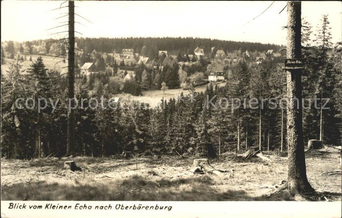 Oberbaerenburg Baerenburg Blick vom Kleinen Echo Waldpartie