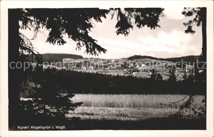 Vogelsgruen Kurort Blick vom Waldrand aus