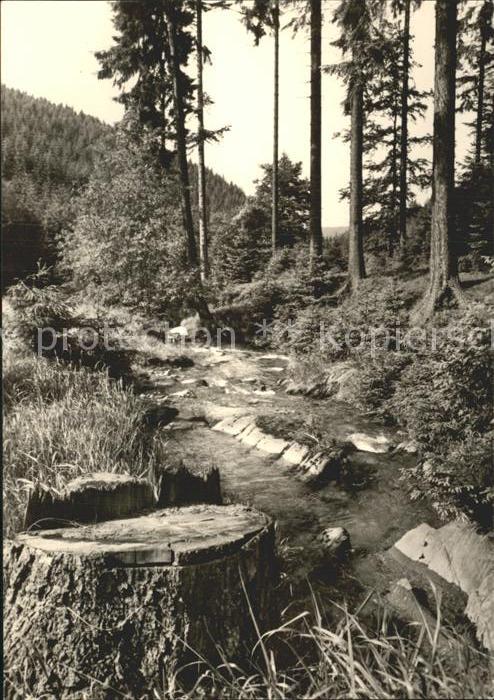 Reichenbach Vogtland Waldpartie Bachlauf