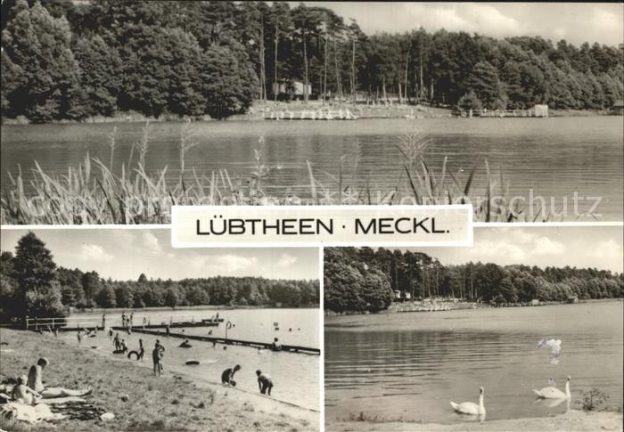 Luebtheen Uferpartie am See Badestrand Schwaene
