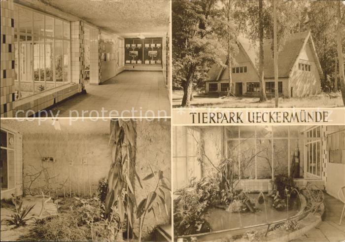 Ueckermuende Mecklenburg Vorpommern Tierpark Vivarium