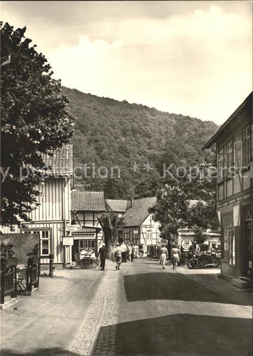 Treseburg Harz Ortspartie