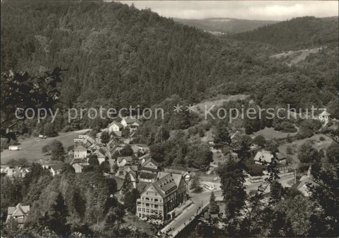Treseburg Harz Panorama Blick ins Tal