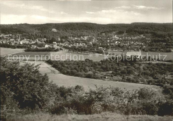 Gernrode Harz Panorama Blick vom Bueckeberg
