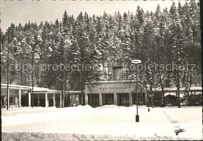 Bad Elster Marienquelle im Winter