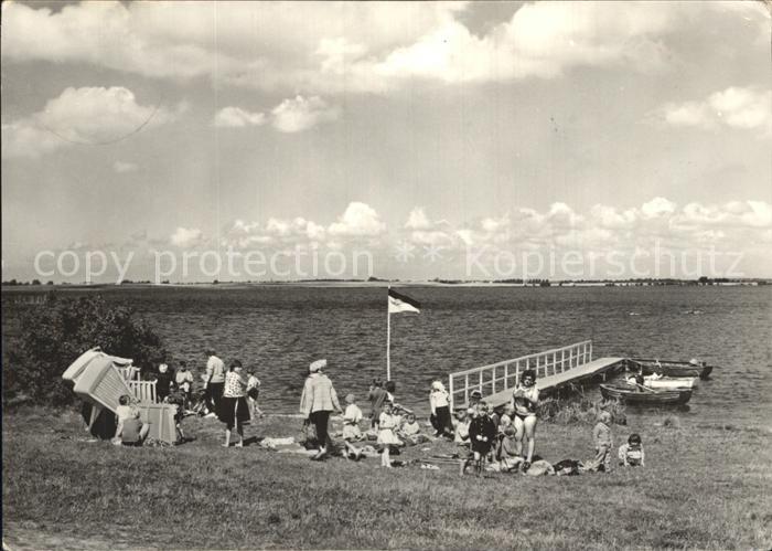 Stahlbrode Uferpartie am Strelasund