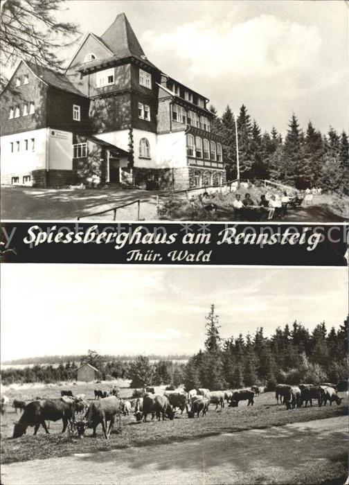 Friedrichroda Spiessberghaus am Rennsteig Thueringer Wald Kuehe
