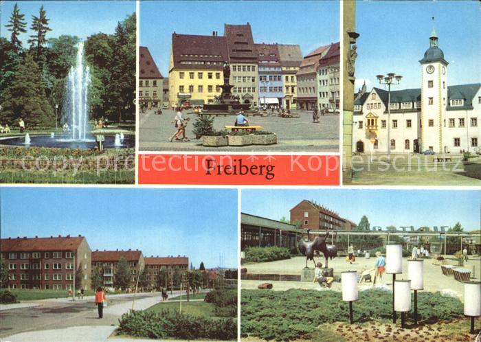 Freiberg Sachsen Scheringerpark Fontaene Brunnendenkmal Obermarkt Rathaus Neubau