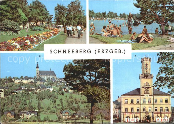 Schneeberg Erzgebirge Promenade Filzteich Kirche Rathaus