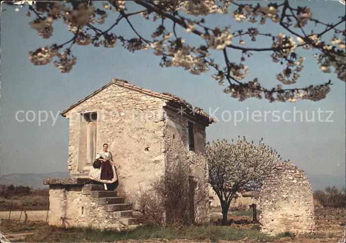 Valreas Vieux Mas au Printemps Collection Les Belles Images de Provence