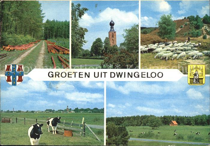 Dwingeloo Waldpartie Kirche Schafe Kuehe Landschaft
