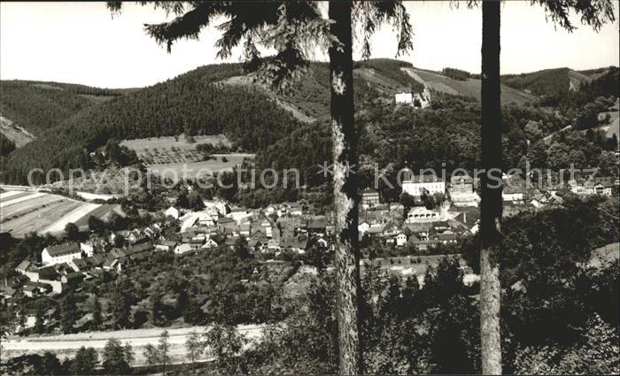 Leutenberg Thueringen Panorama Blick vom Waldrand Schloss Handabzug