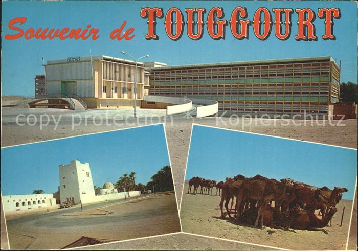 Touggourt Gebaeude Kamele