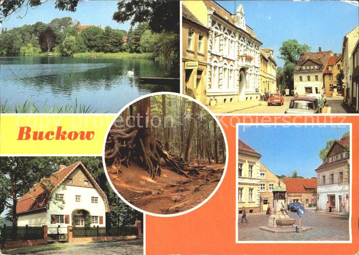 Buckow Maerkische Schweiz Bad Buckowsee Clara Zetkin Strasse Wurzelfichte Brecht