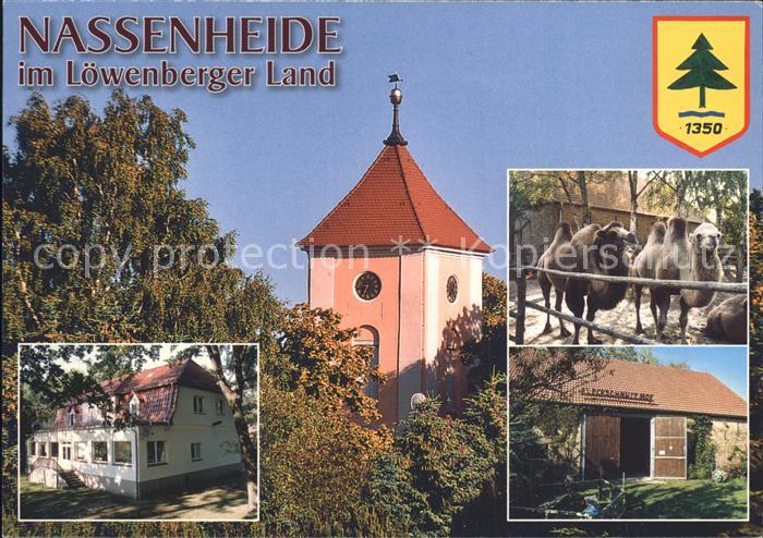 Nassenheide Dorfkirche Kamele Fleckschnupphof Kindergaestehaus der GFJ
