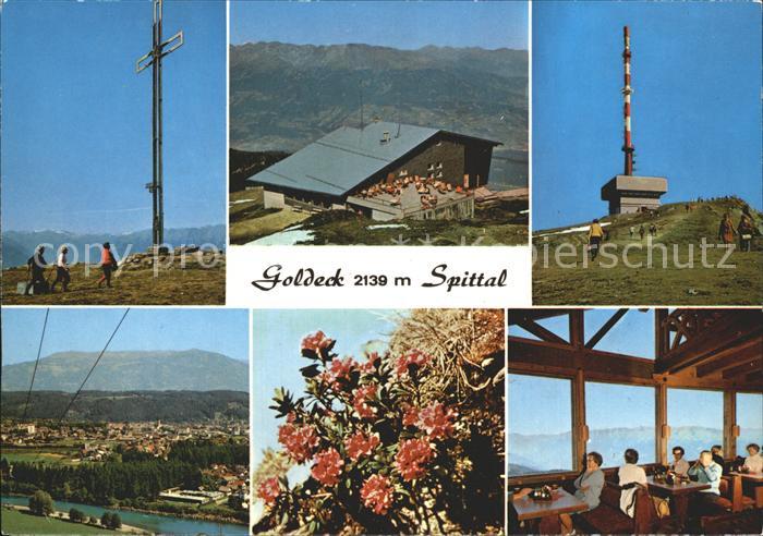 Spittal Drau Goldeck Gipfelkreuz Bergrestaurant Sendeturm Alpenflora