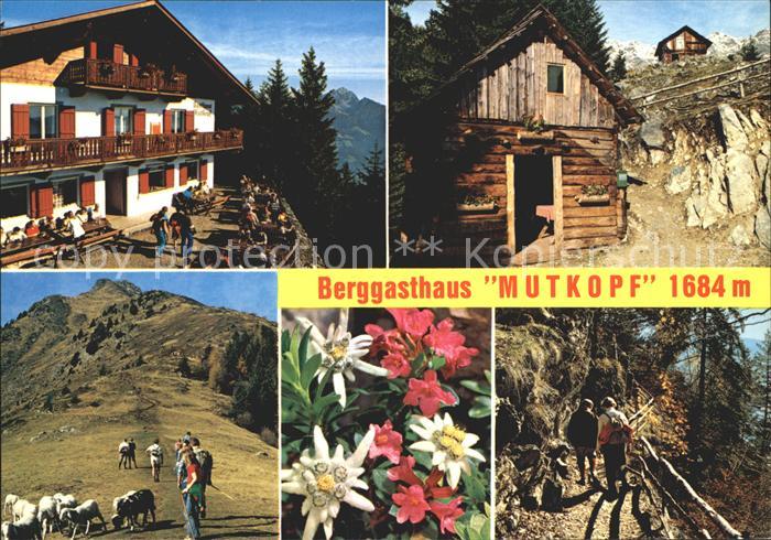 Dorf Tirol Berggasthaus Mutkopf Naturpark Texelgruppe Wanderweg Schafe Alpenflor