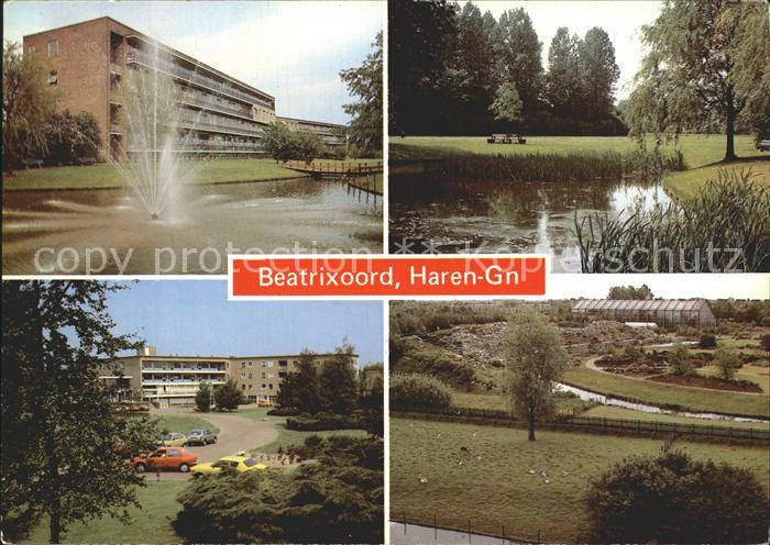 Haren Groningen Beatrixoord Park Teich Garten