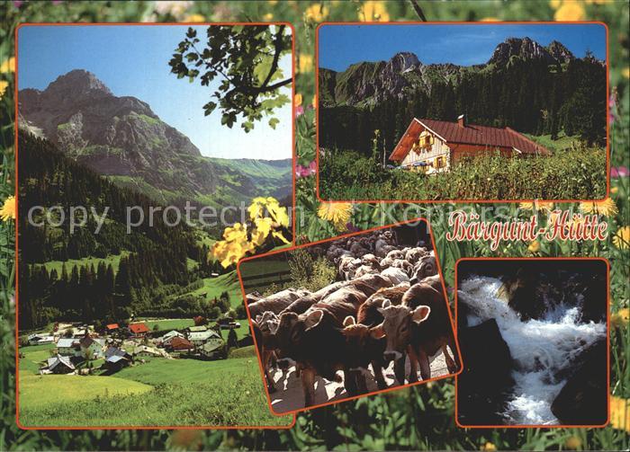 Baad Mittelberg Kleinwalsertal Baergunt Huette Alpen Kuehe Wasserfall