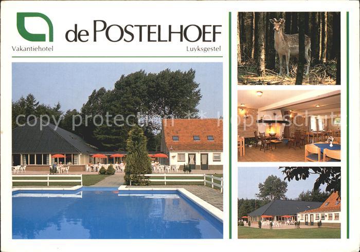 Luyksgestel Vakantiehotel De Postelhoef Restaurant Swimming Pool Waldpartie Reh
