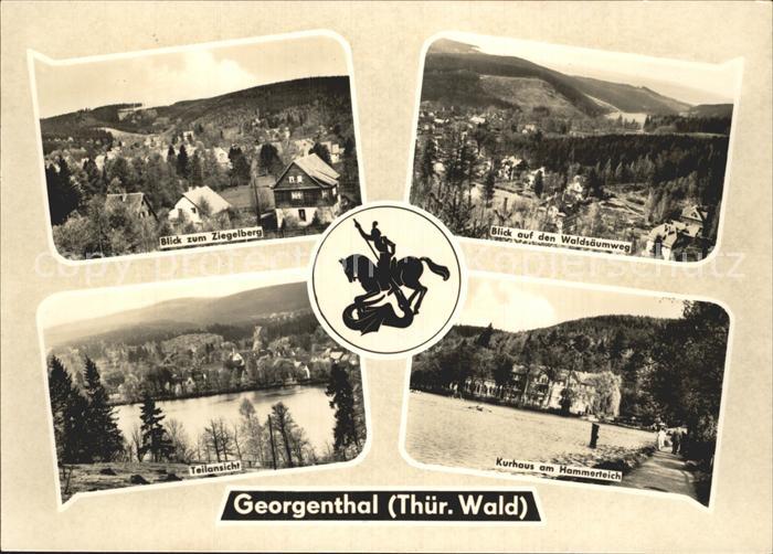 Georgenthal Panorama Blick vom Ziegelberg Waldsaeumweg Kurhaus Hammerteich Wappe