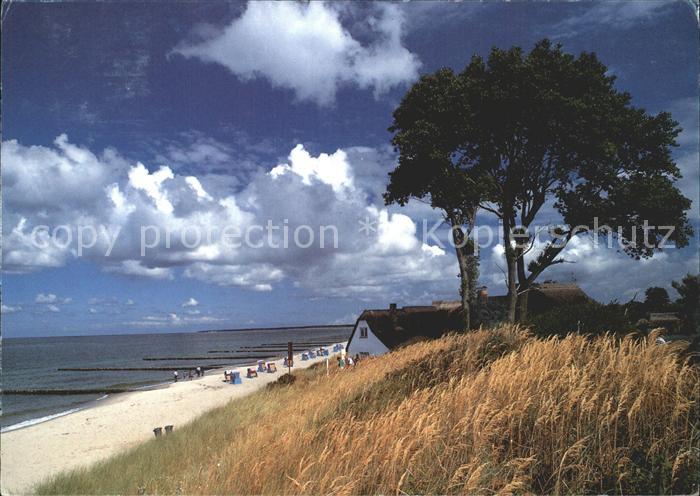Ahrenshoop Ostseebad Haus am Strand