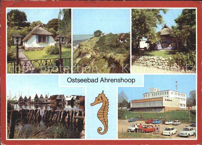 Ahrenshoop Ostseebad Haeuschen Boddendeich Hohes Ufer Kunstkaten Hafen Wassergru