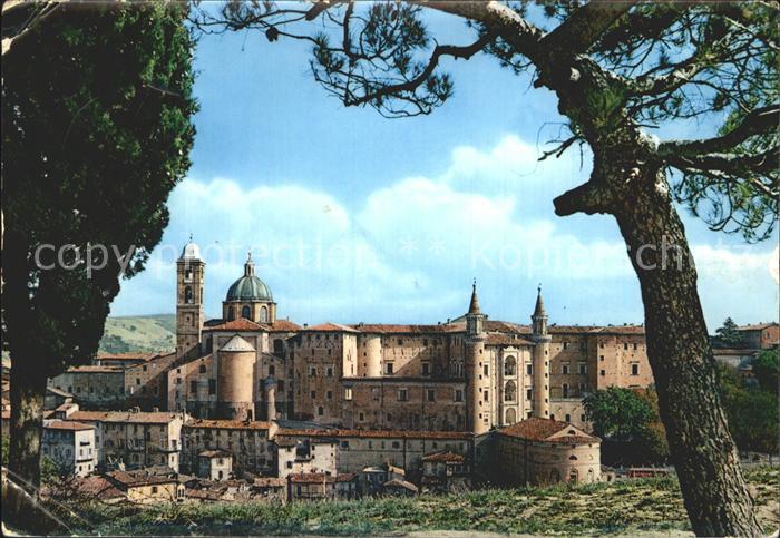 Urbino Panorama Dom Palazzo Ducale