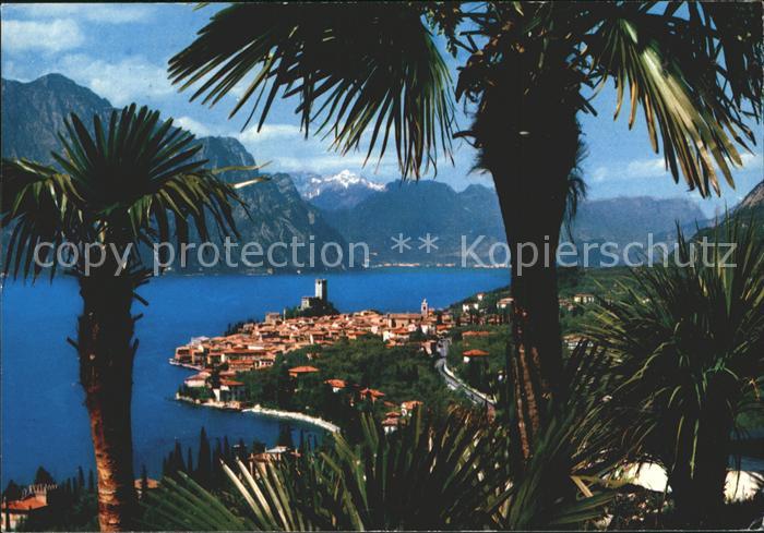 Malcesine Lago di Garda Panorama Gardasee Alpen
