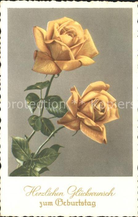 Geburtstag Gelbe Rosen