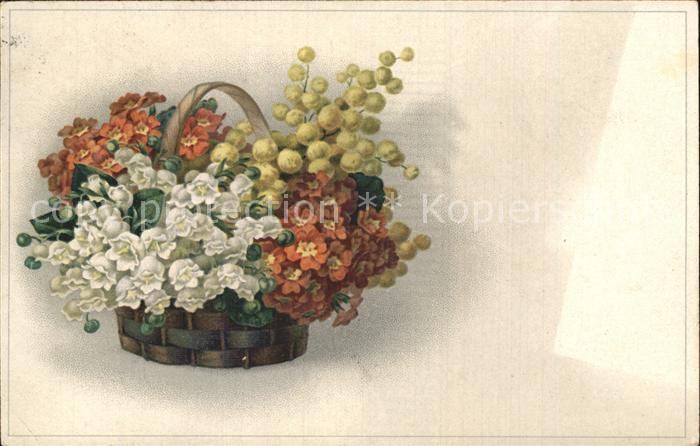 Verlag Meissner und Buch Blumen Alpenrosen Litho