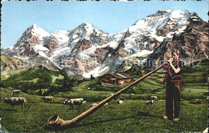 Alphorn Alphornblaeser Interlaken