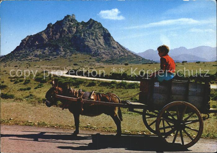 Esel Tiere Sardegna Siliqua Castello dell'Acqua Fredda