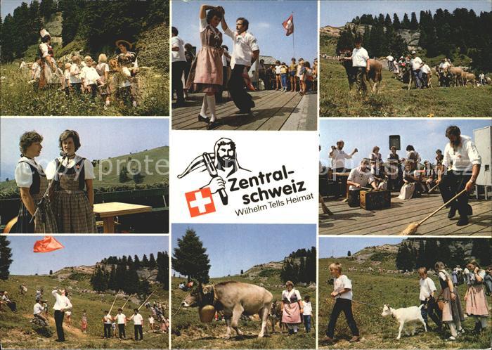 Tanz Taenzer Zentralschweiz Folklore Trachten Fahnenschwinger Kuehe