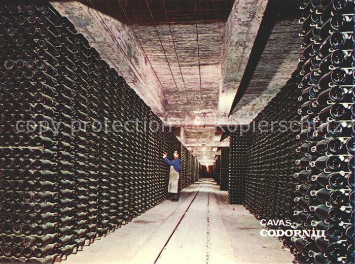 Wein Cavas Codorniu Botellas envejeciendo