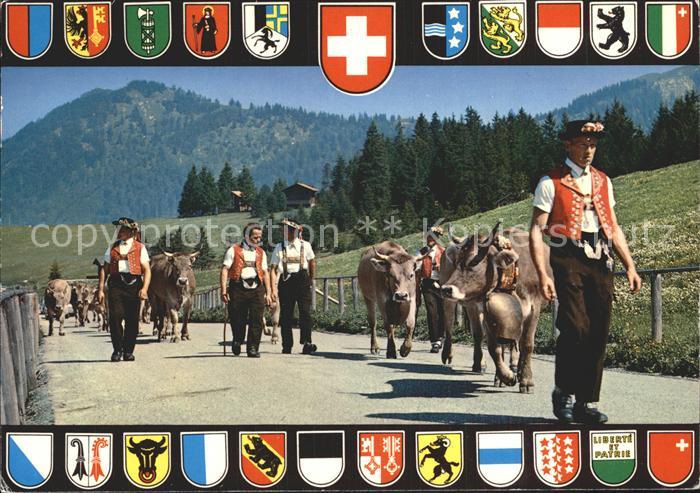 Kuehe Almabtrieb Senner Schweiz Wappen