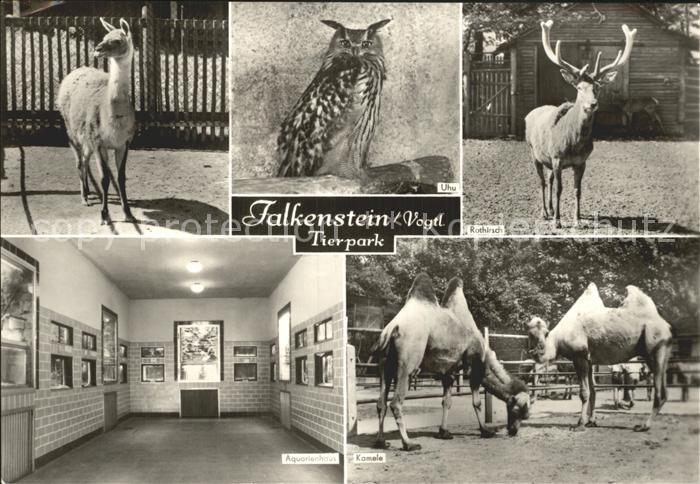 Zoo Tierpark Falkenstein Vogtland Uhu Kamele Rothirsch Lama