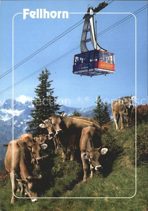 Seilbahn Fellhorn Oberstdorf Kuehe