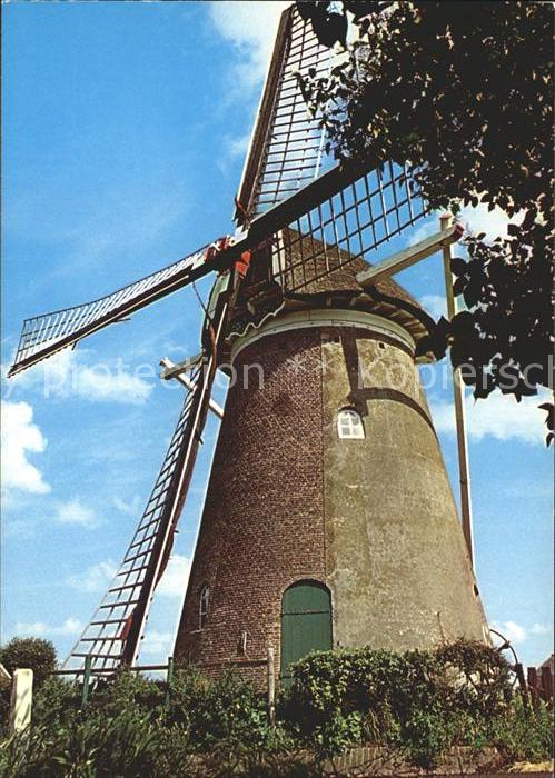 Windmuehle Rockanje Korenmolen