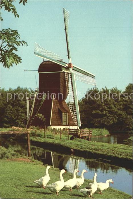 Windmuehle Haarlem Wip-Watermolen Gänse