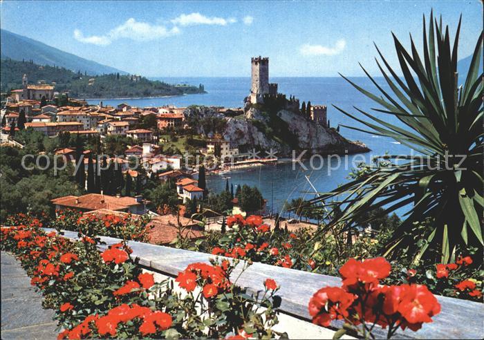 Malcesine Lago di Garda Lago di Garda