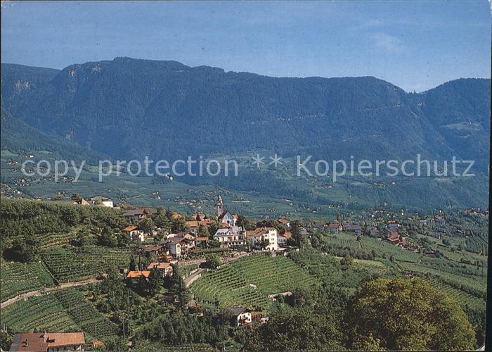 Dorf Tirol Fliegeraufnahme mit Weinbergern