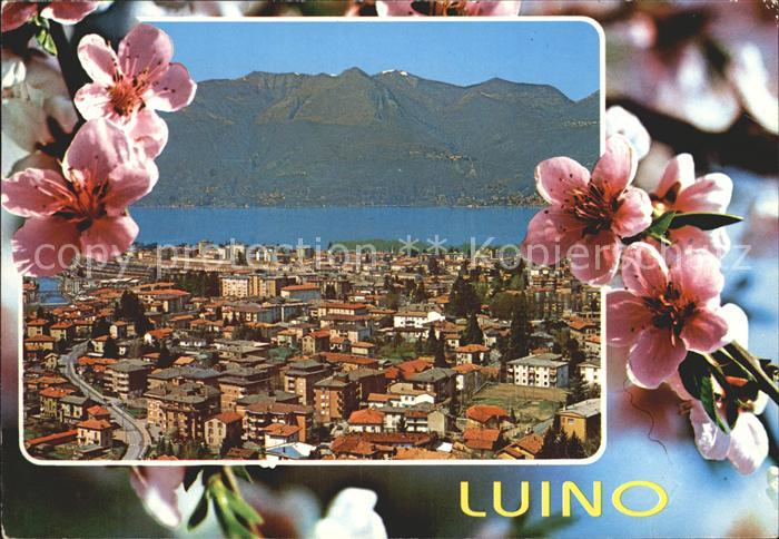 Luino Lago Maggiore