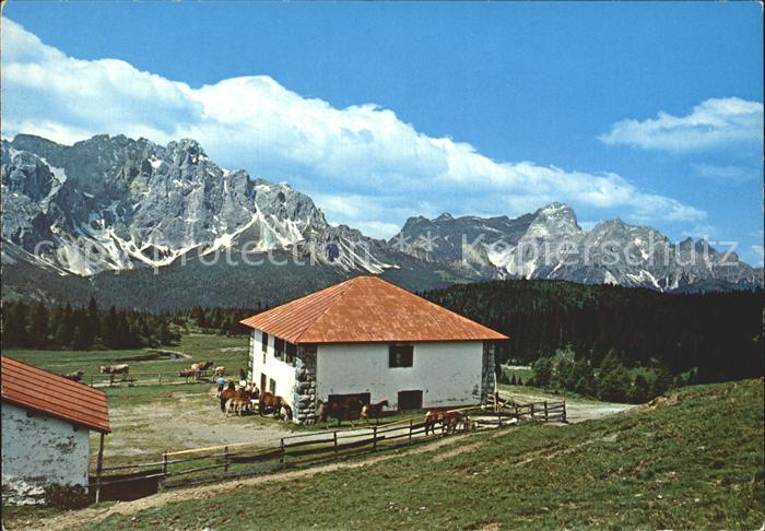 Sexten Sesto Suedtirol Rifugio Alpe di Nemes