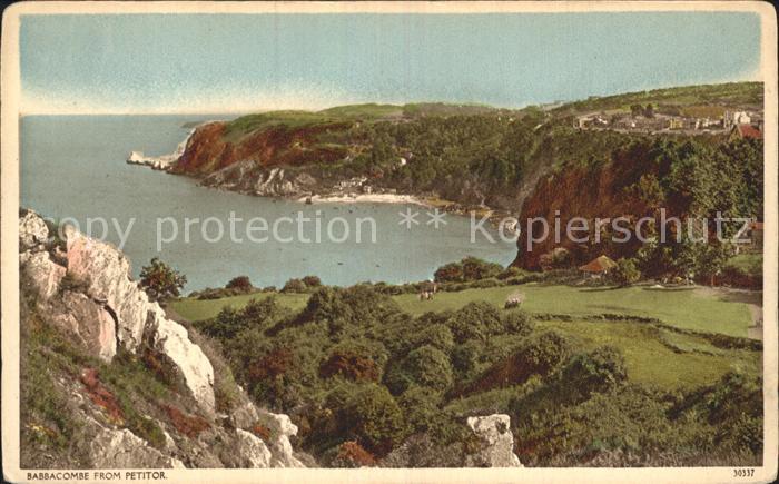 Babbacombe from Petitor