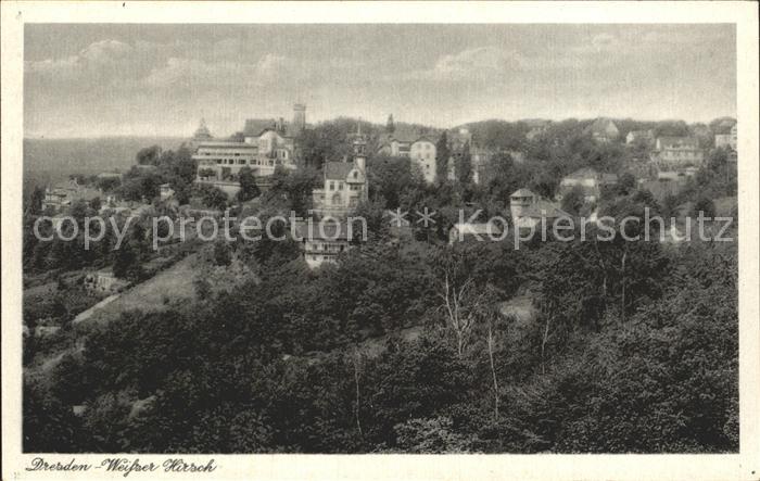 DRESDEN Elbe Weisser Hirsch Fliegeraufnahme