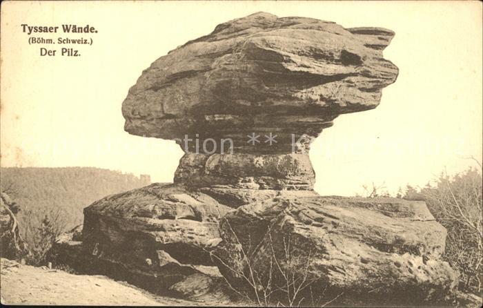 Tyssa Steinwaender Der Pilz