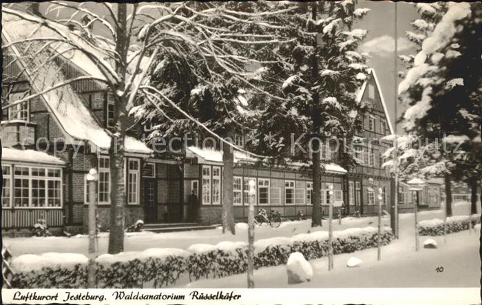 Jesteburg Waldsanatorium Ruesselkaefer