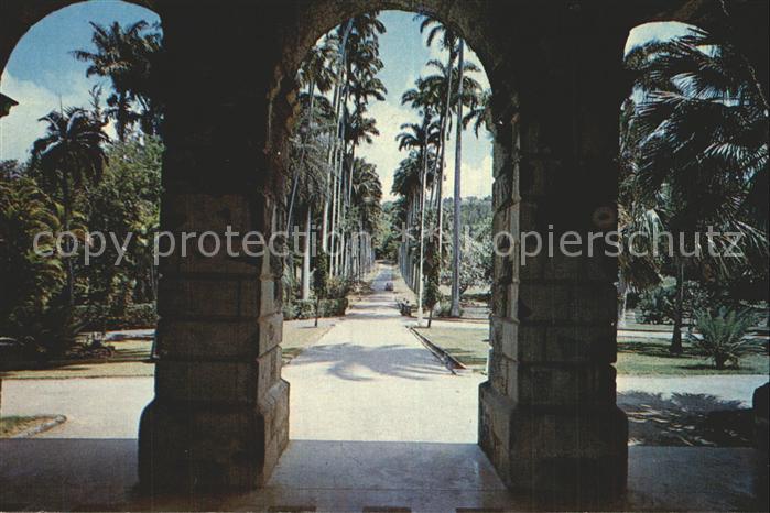 Barbados Driveway of Codrington College