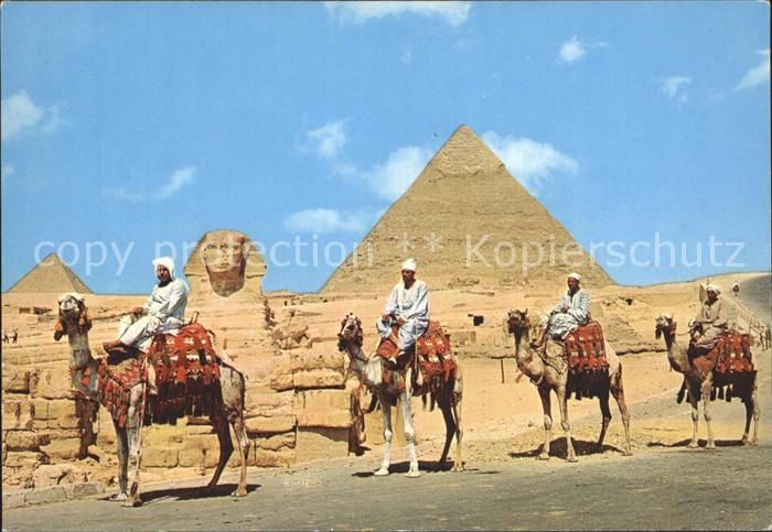 Cairo Egypt Pyramiden und Sphinx Camele